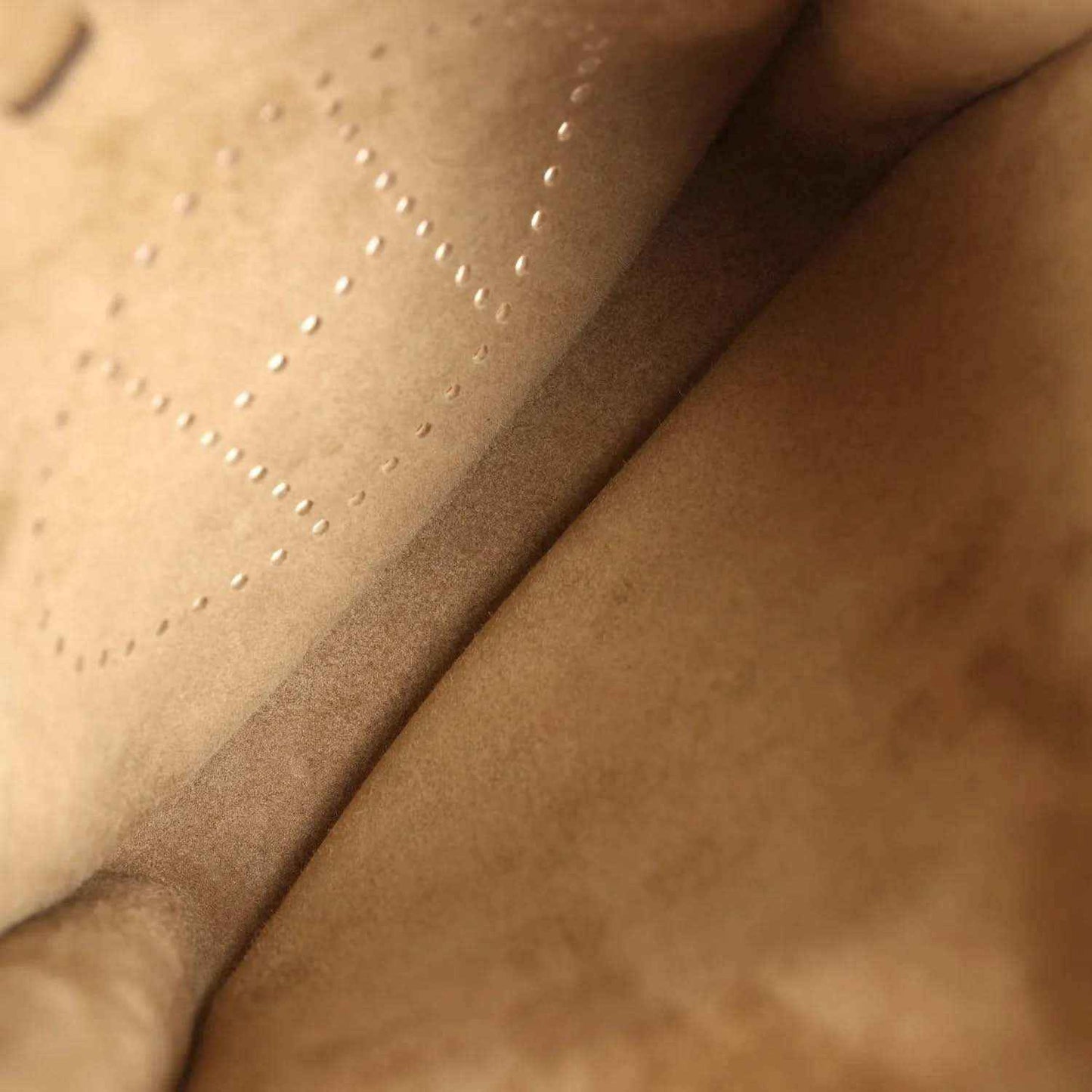 Tan leather interior with perforated logo panel stitching detail