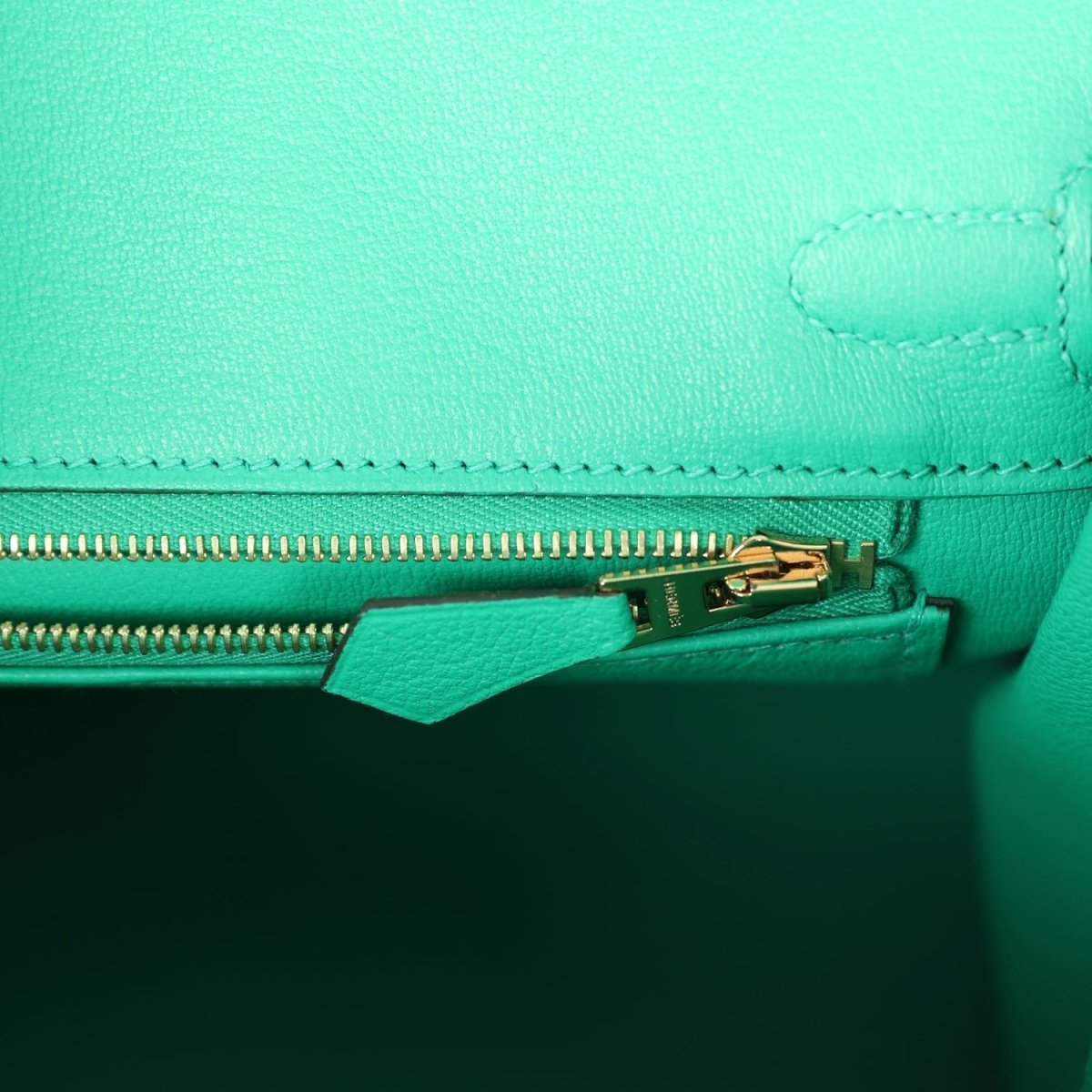 Mint green lizard handbag interior pocket with gold zipper and leather tab