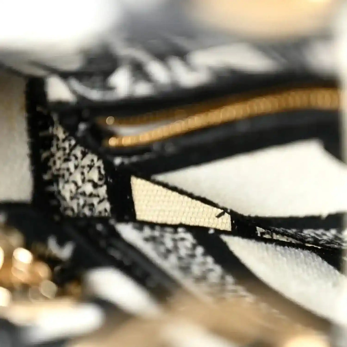 Mini embroidered canvas bag zipper area with black trim, gold zipper hardware, and lining