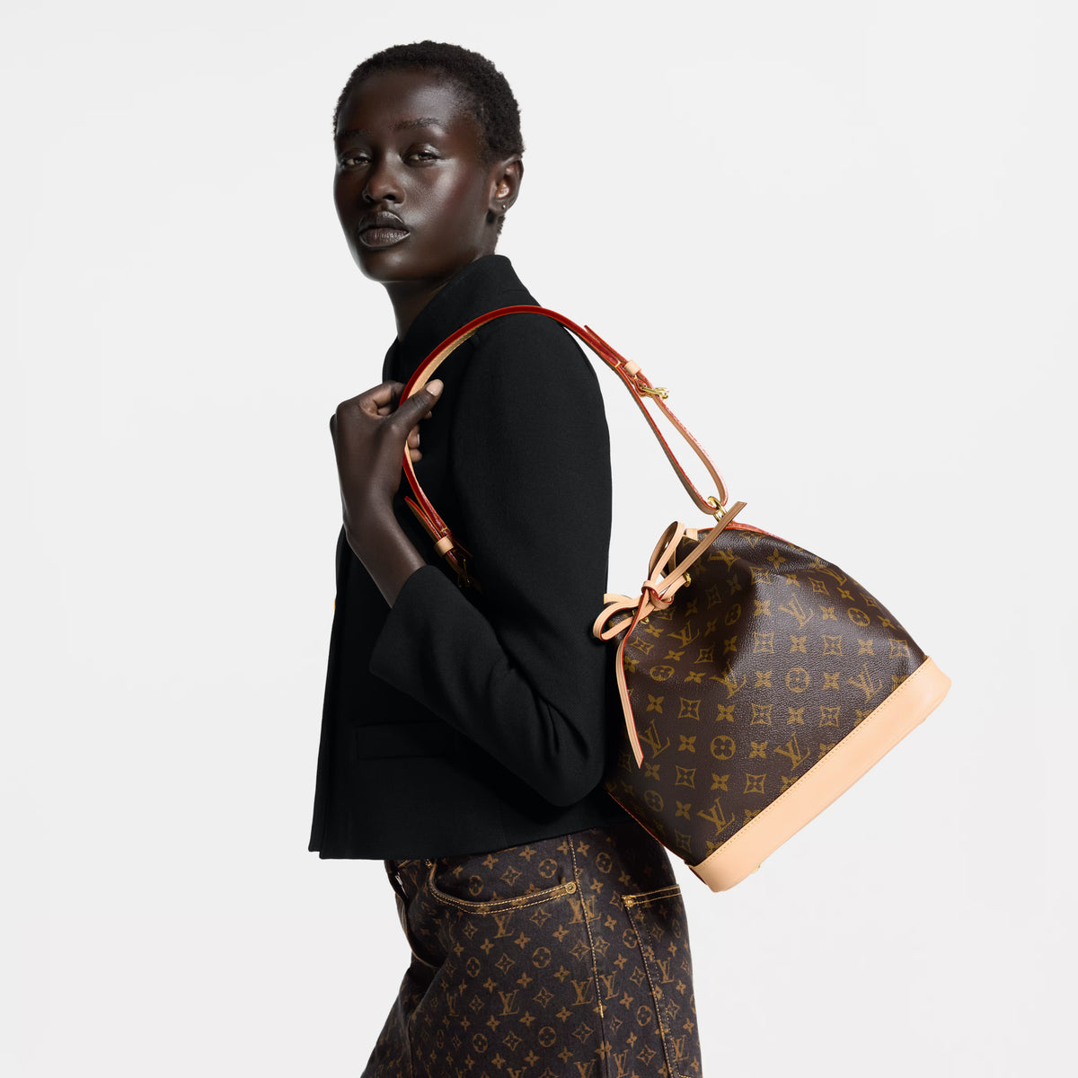 Noé Bucket Bag Monogram Coated Canvas