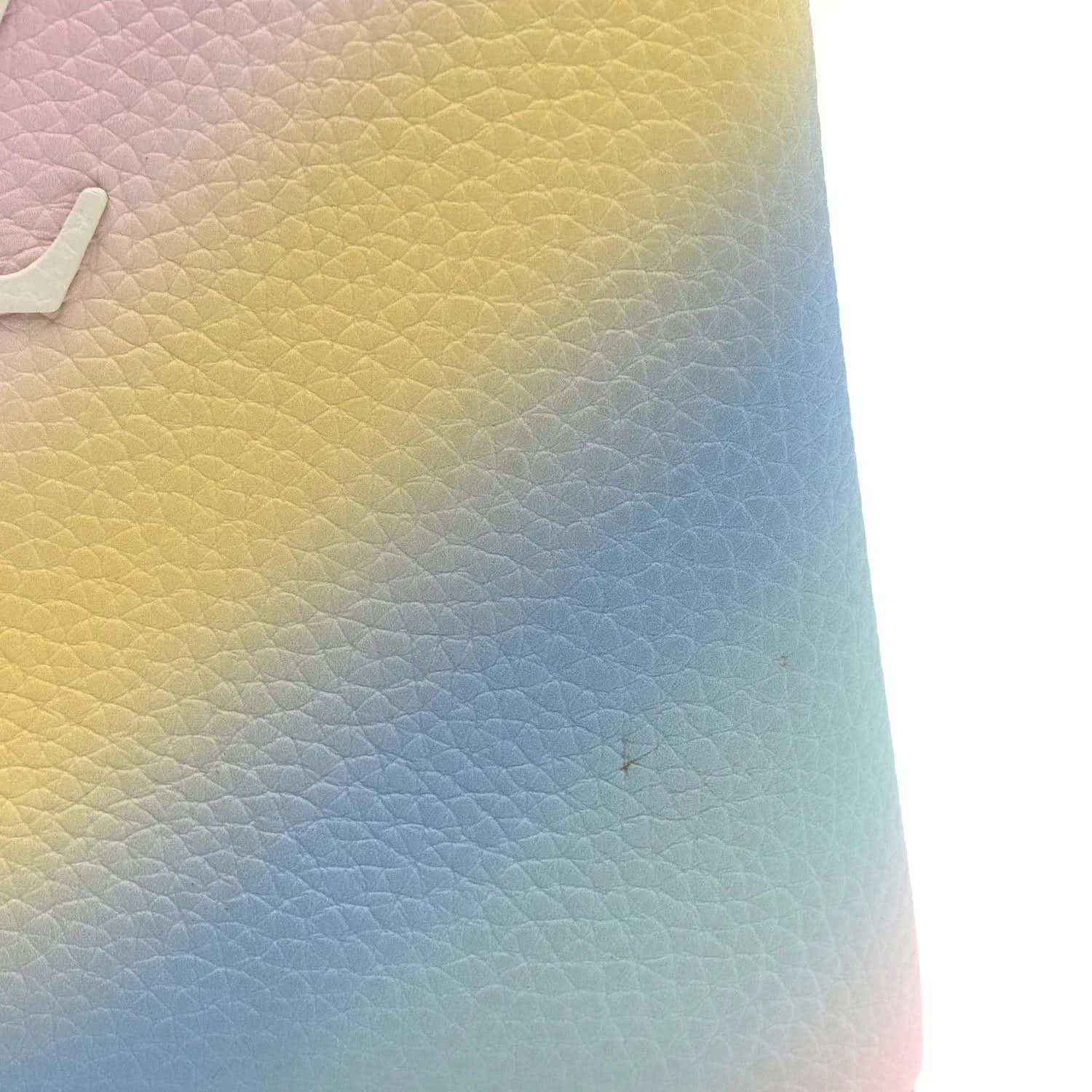 Rainbow gradient leather exterior with pebbled texture