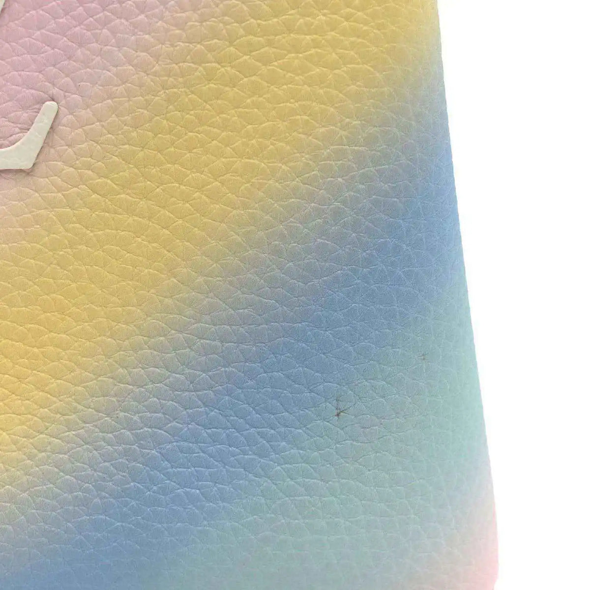 Rainbow gradient leather exterior with pebbled texture