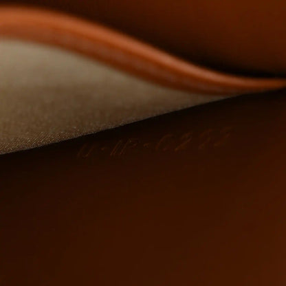 Brown leather interior with faint engraved "CELINE" stamp