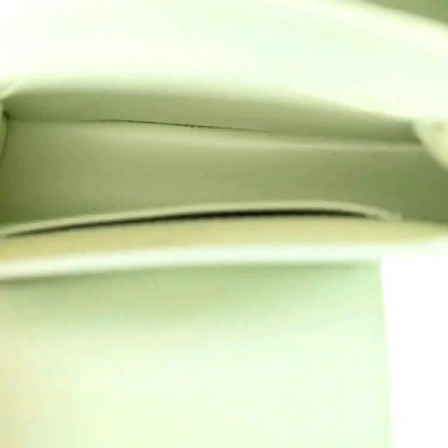 Mini Capucines handbag interior view with light green lining and side wall