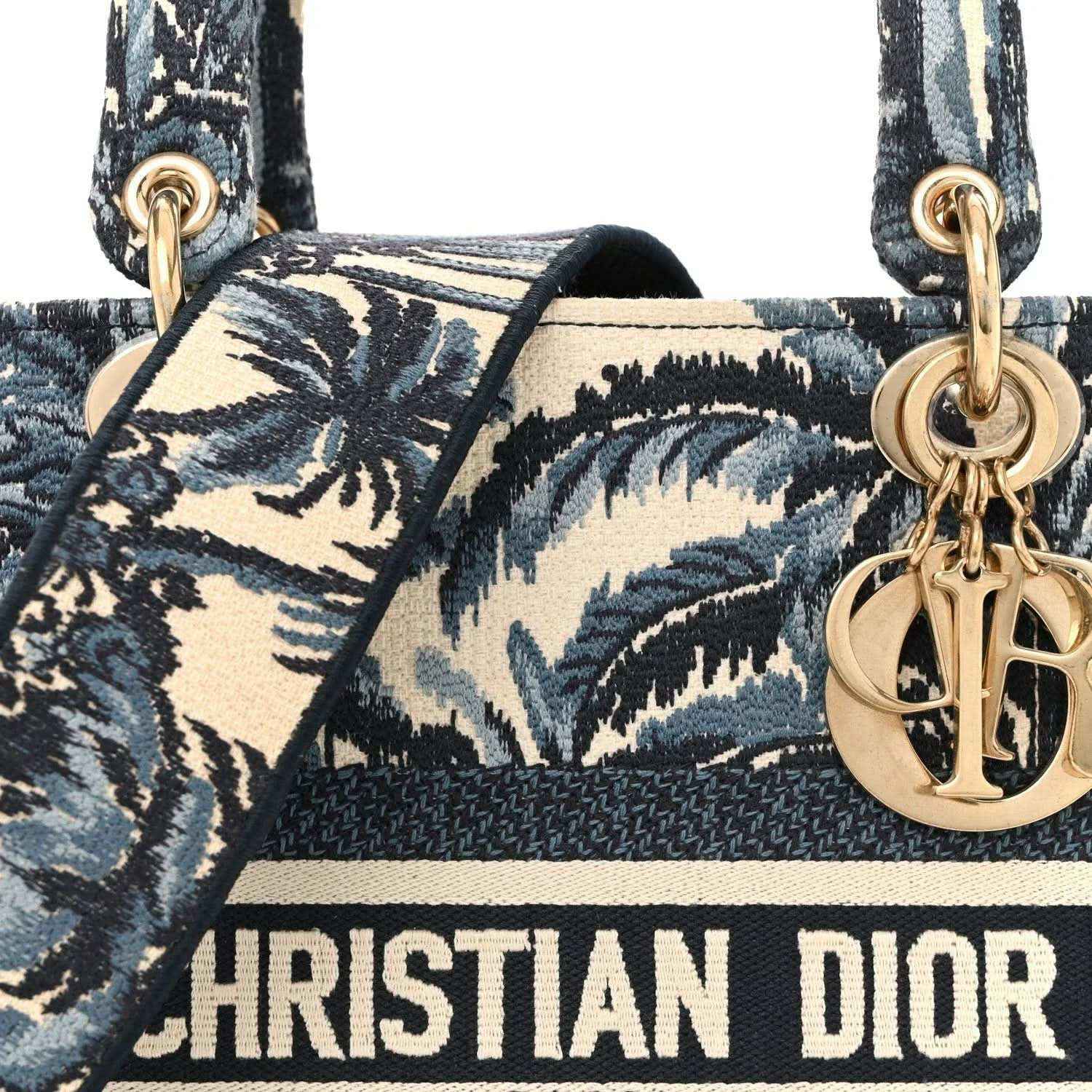 Front panel with blue palm toile print, striped band, and gold Dior logo charm on handle