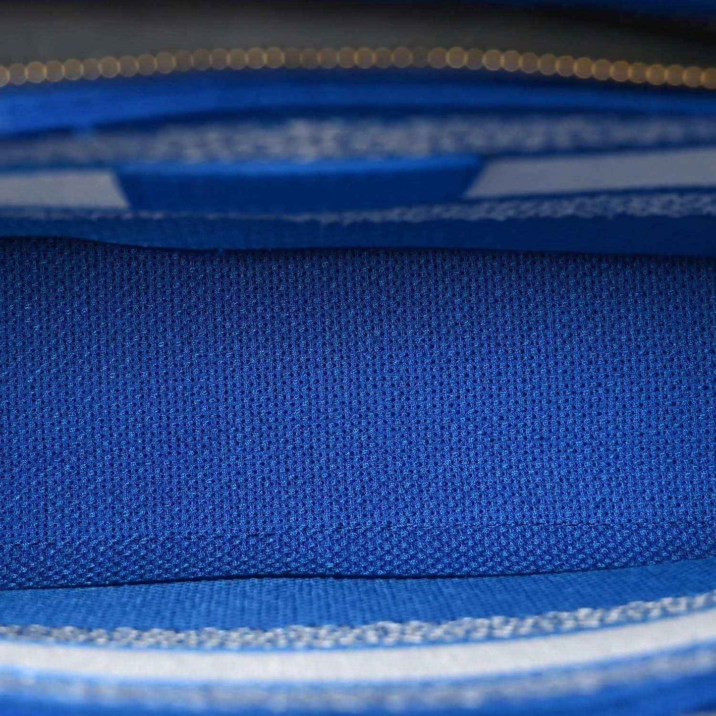 Blue woven fabric panel with white trim detail on the Christian Dior tote bag