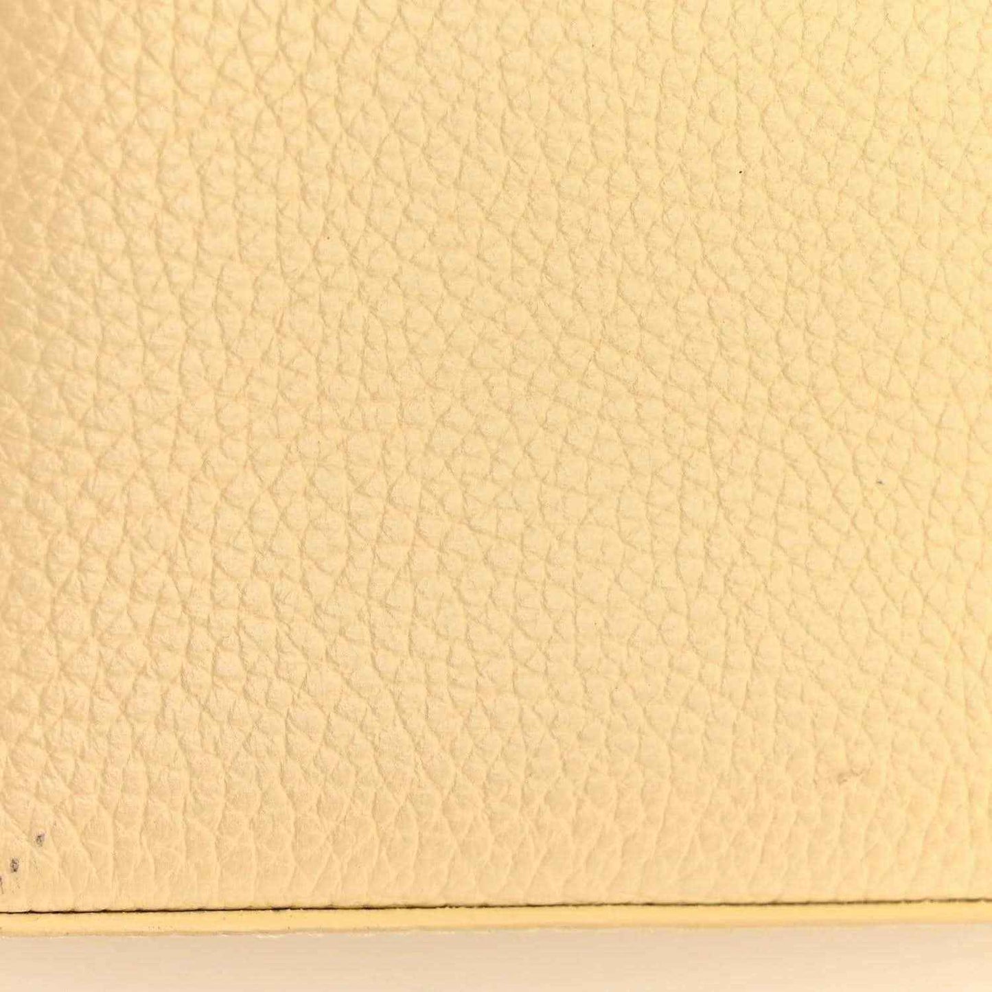 Louis Vuitton handbag panel with beige pebbled leather texture