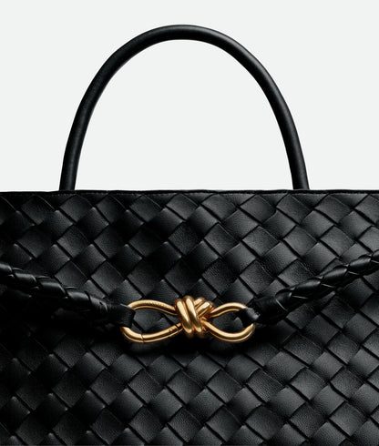 Large Andiamo Intrecciato Lambskin Leather