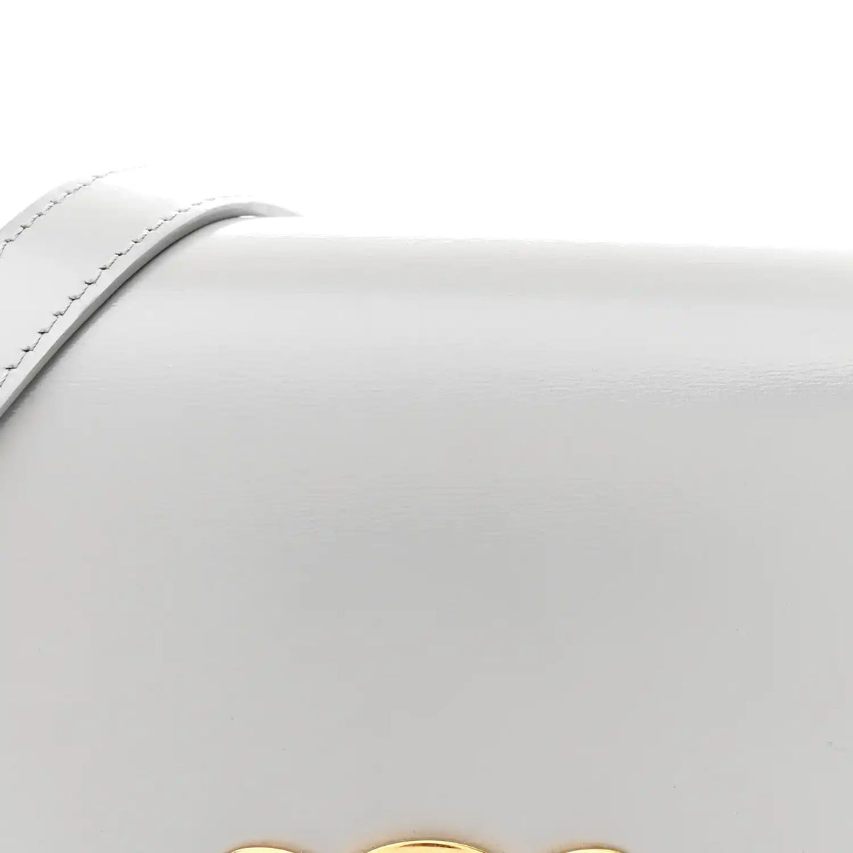 Shiny calfskin bag flap with smooth grain texture close-up