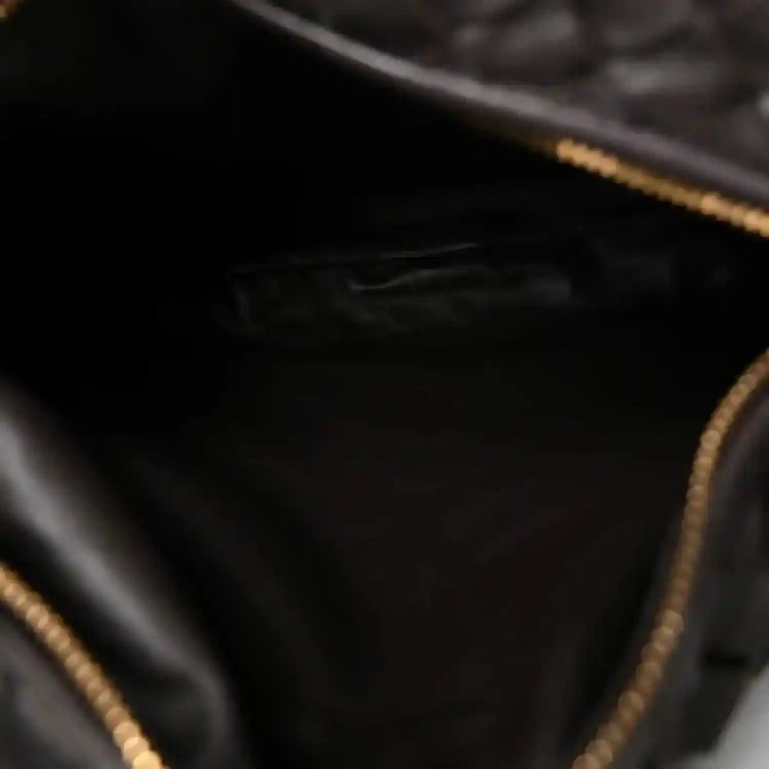 Teen Jodie hobo bag interior view with gold-tone zipper and dark lining