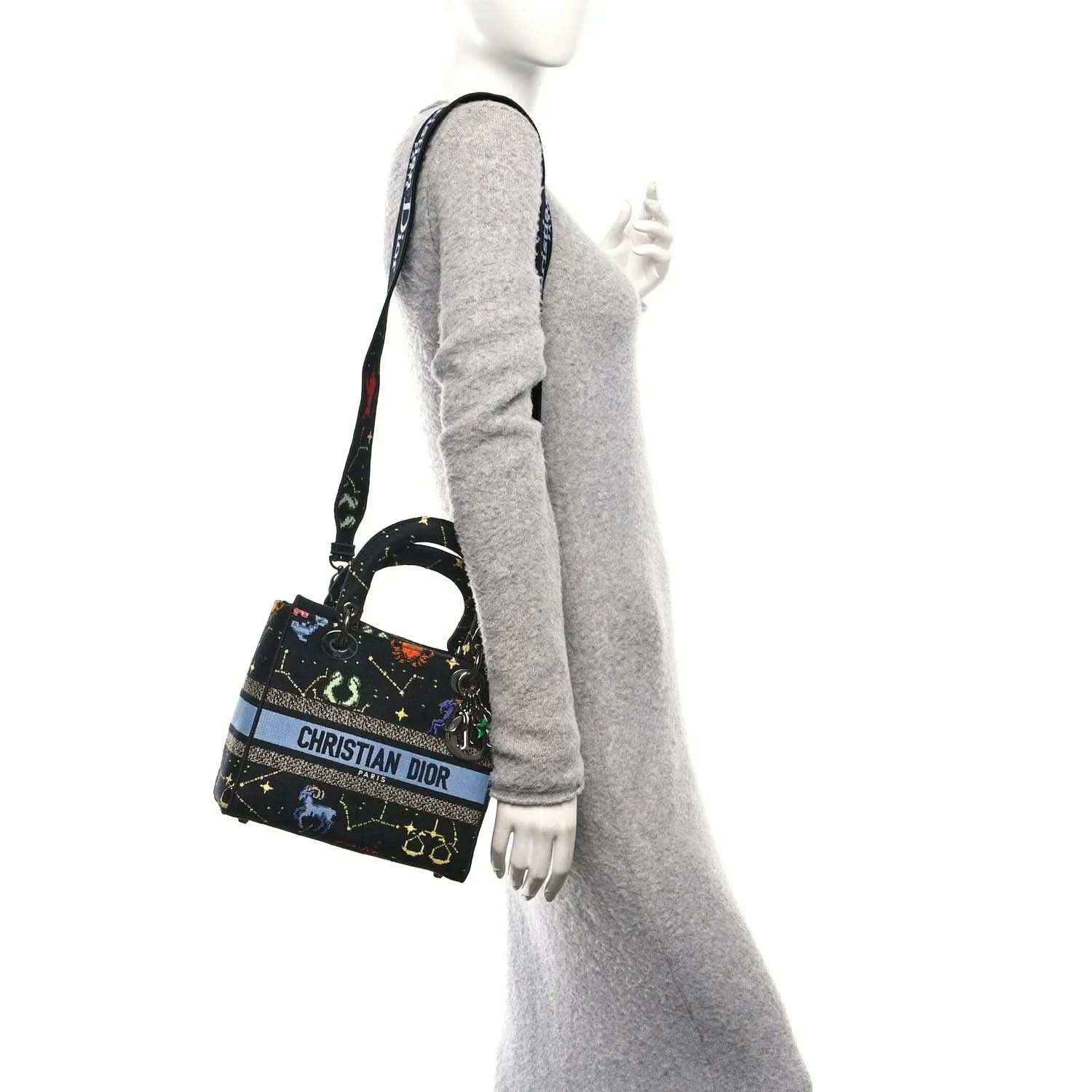 Medium handbag with zodiac print canvas and blue stripe, worn with adjustable strap