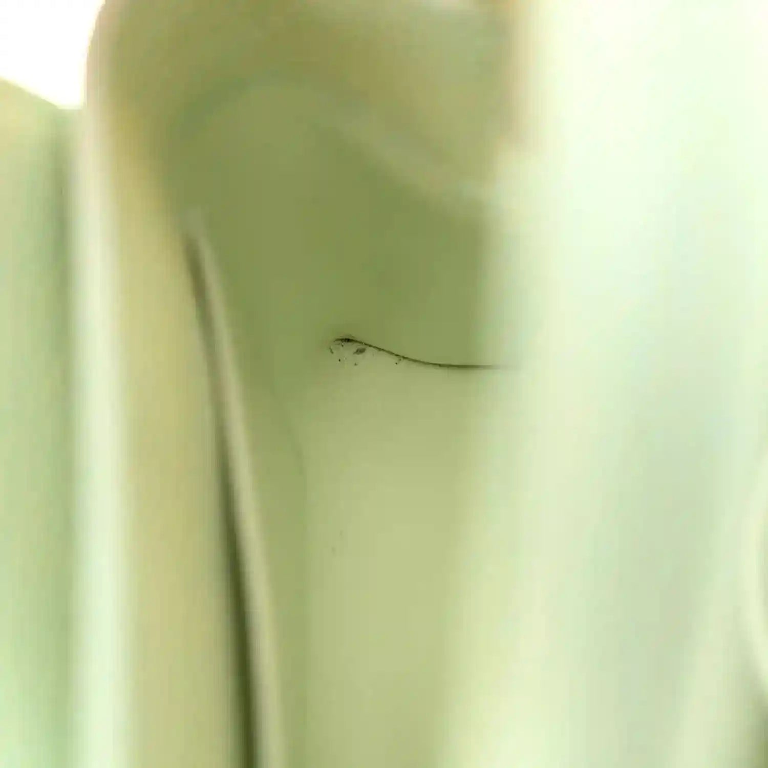 Mini Capucines leather bag, light green, side close-up