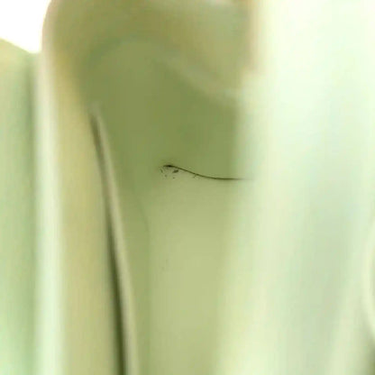 Mini Capucines leather bag, light green, side close-up