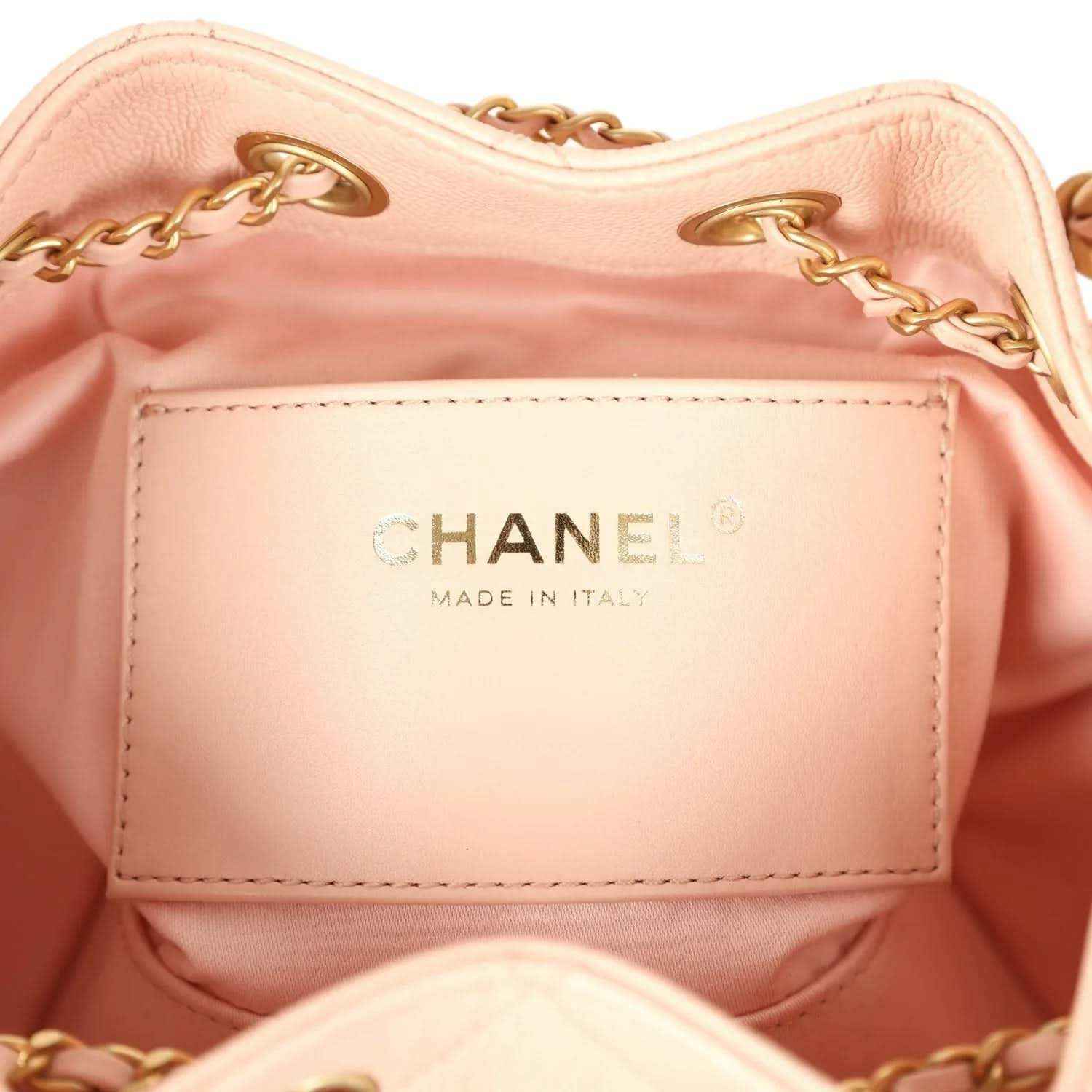 Mini 25 hobo bag interior close-up showing CHANEL label and gold chain trim