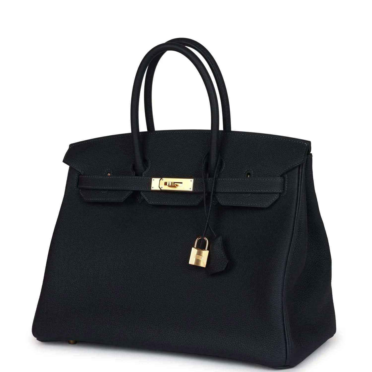 Leather Birkin handbag front view with gold clasp and lock charm, dark color