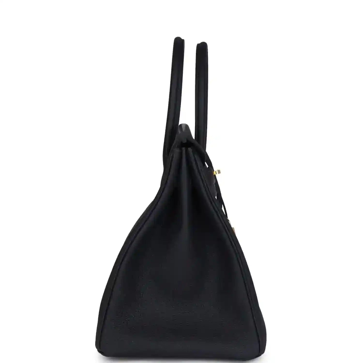 Leather Birkin handbag side profile with two handles and gold hardware, dark color
