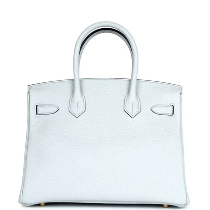 Pale blue leather handbag front panel with two side buckles and gold-toned accents