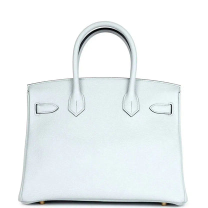 Pale blue leather handbag front panel with two side buckles and gold-toned accents