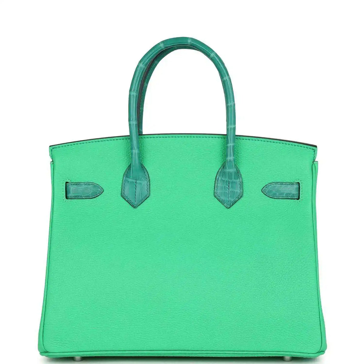 Green leather handbag front with top handles, crocodile-texture accents, and side flap pockets