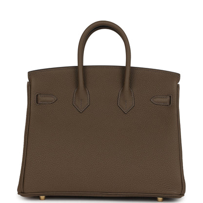 Hermes Birkin 25 handbag back view with panel detailing and round feet