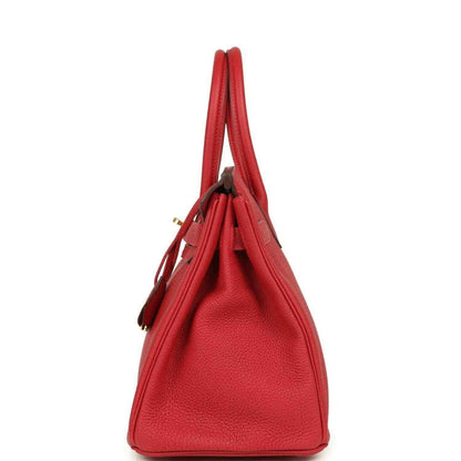 Hermes Birkin 30 handbag in red Togo leather, vertical side view with top handles