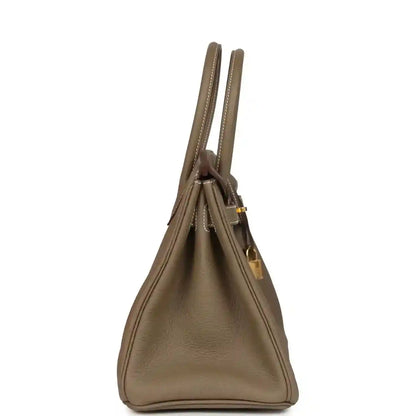 Taupe Togo leather Birkin 30 handbag side view with two top handles and gold accents.