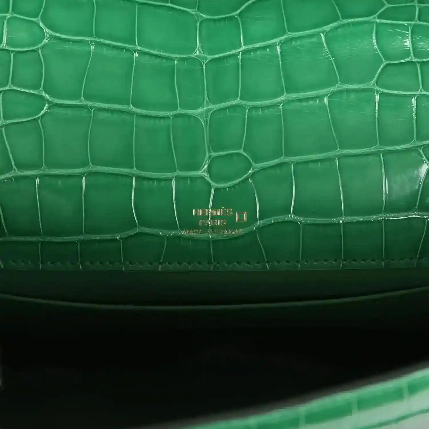 Green crocodile clutch close-up with small gold Hermes logo on flap