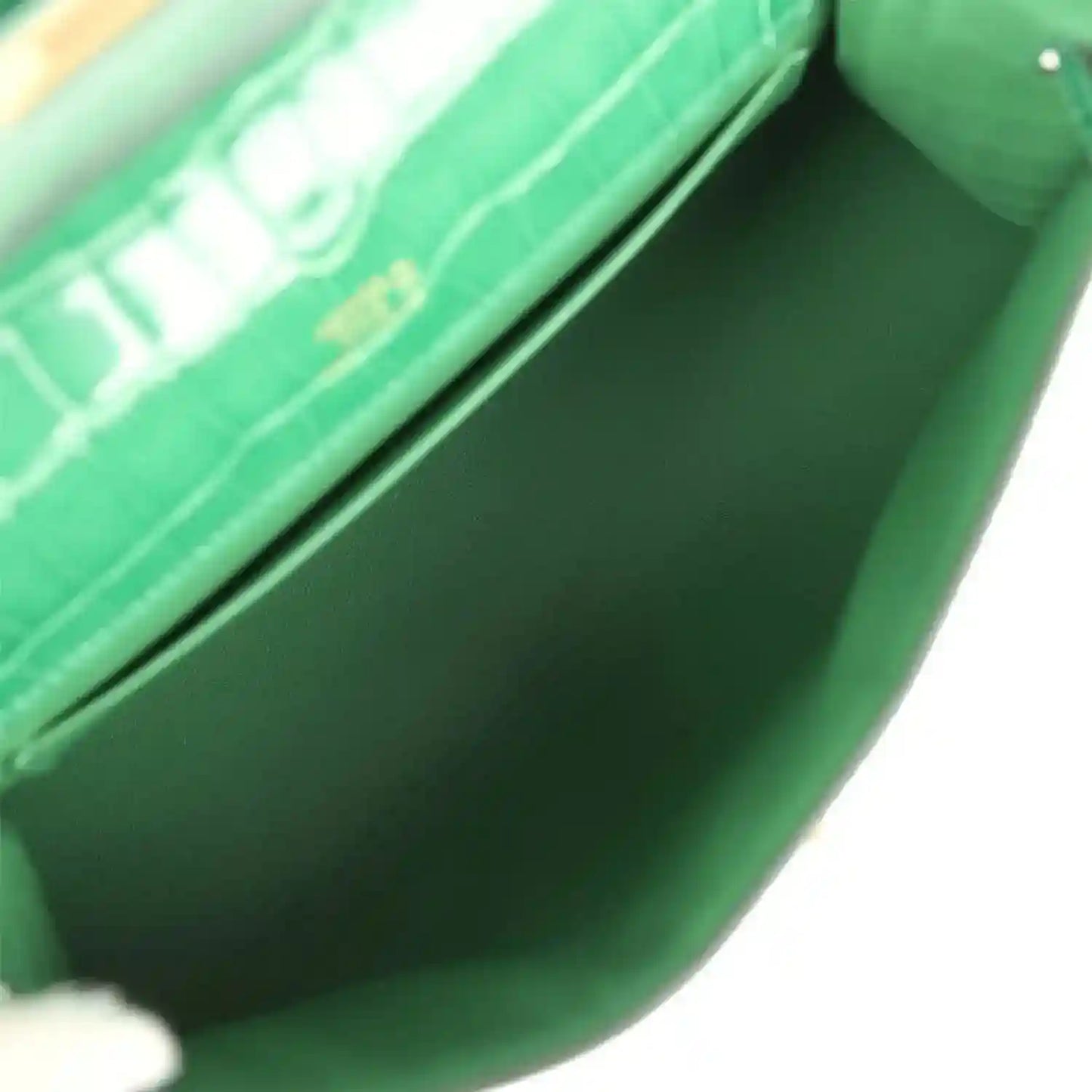 Green crocodile clutch interior lining with flap edge and gold hardware