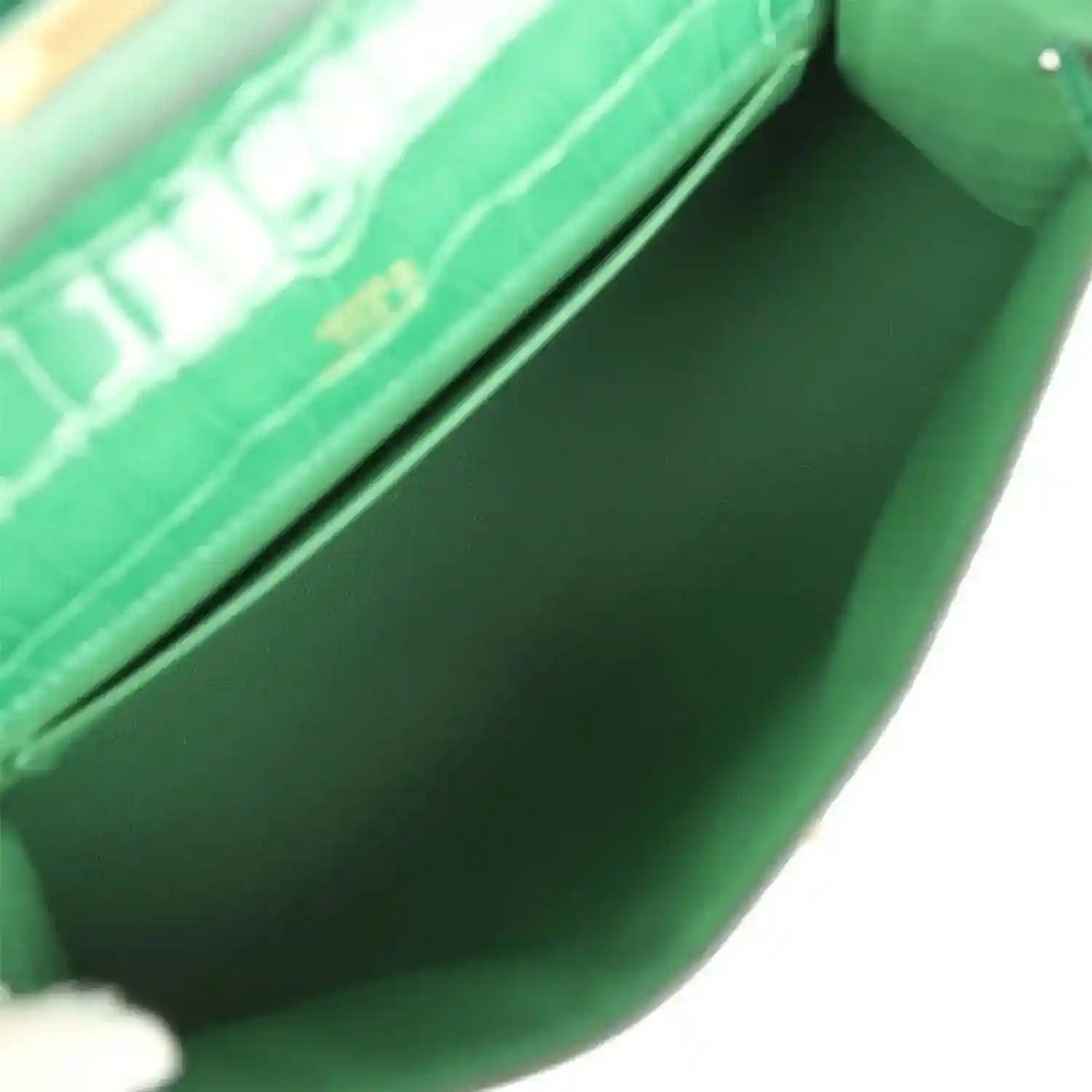 Green crocodile clutch interior lining with flap edge and gold hardware