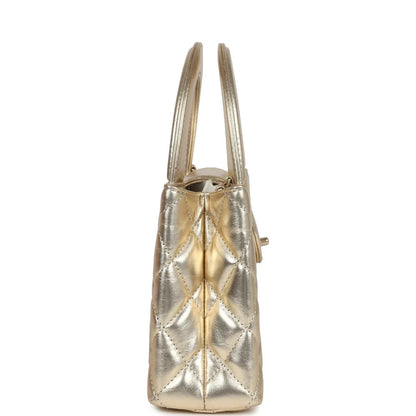 Metallic Calfskin Small Kelly Shopper Bag