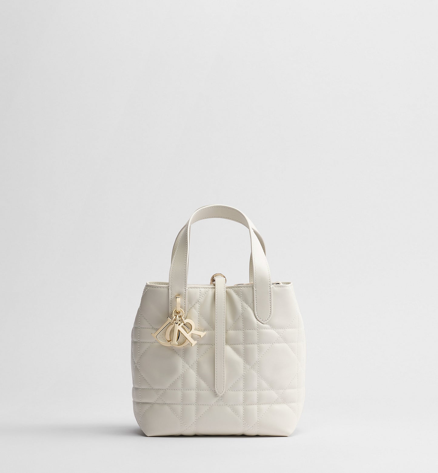 Macrocannage Calfskin Small Toujours Vertical Tote Bag