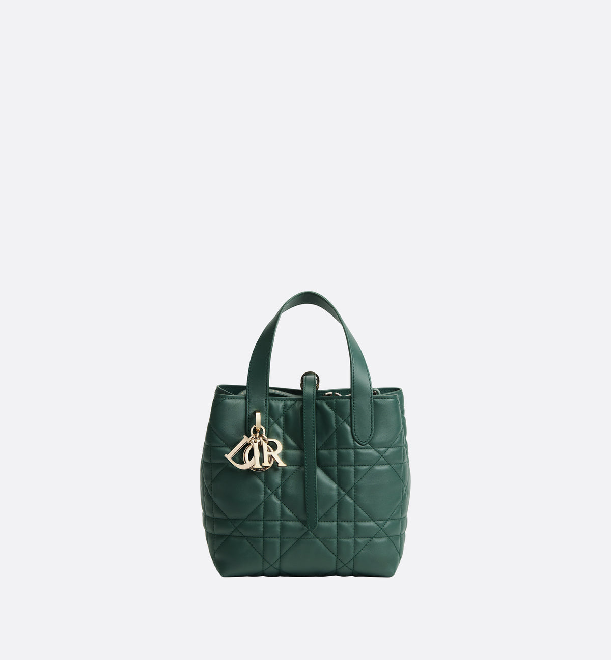 Macrocannage Calfskin Small Toujours Vertical Tote Bag
