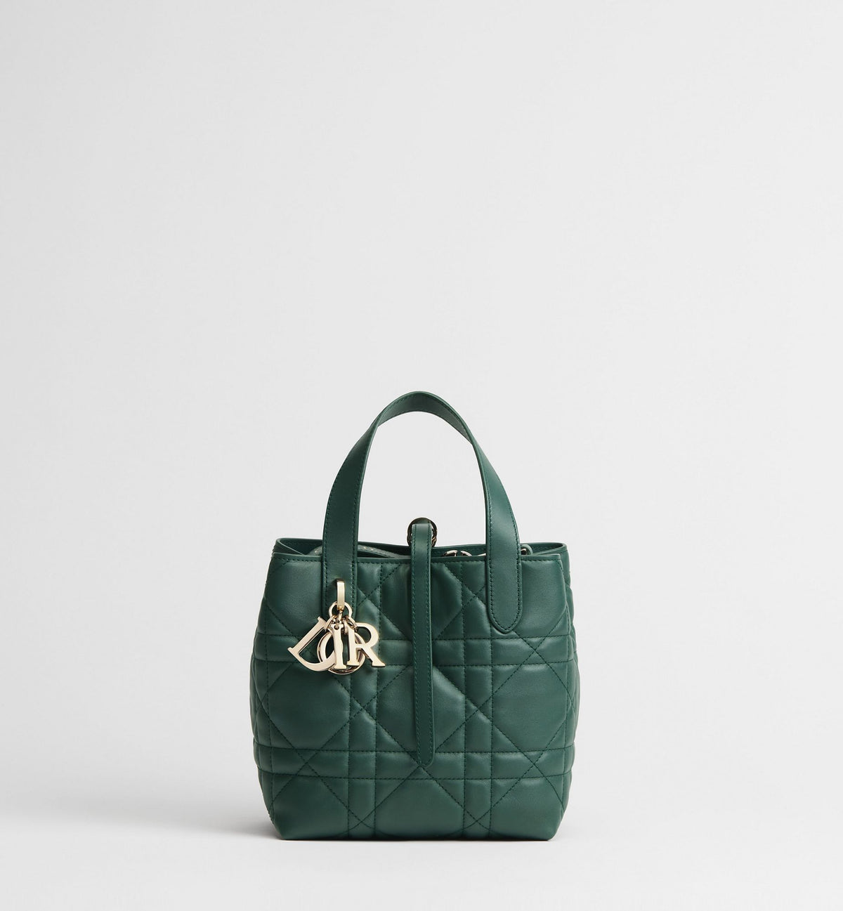 Macrocannage Calfskin Small Toujours Vertical Tote Bag