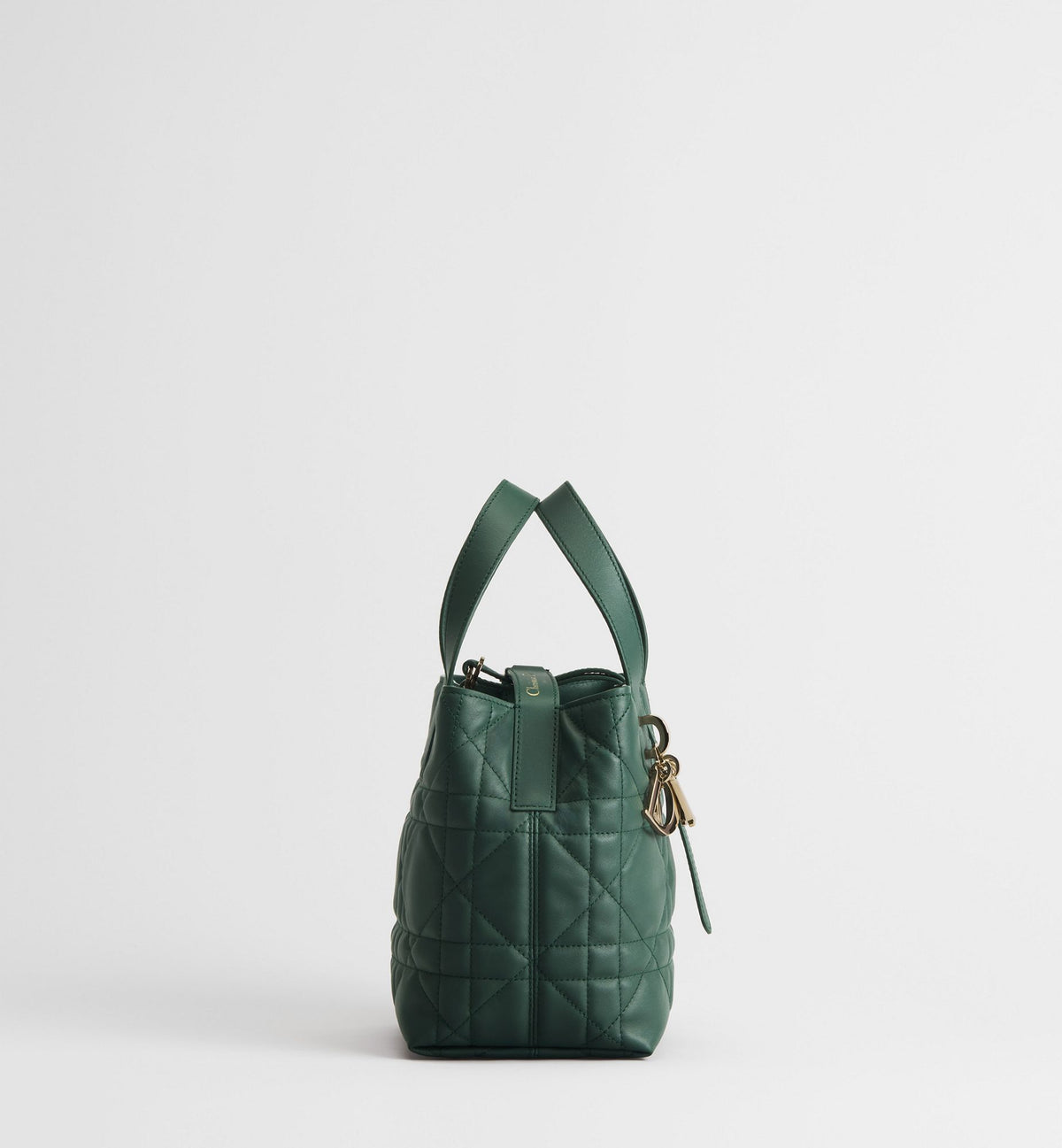 Macrocannage Calfskin Small Toujours Vertical Tote Bag