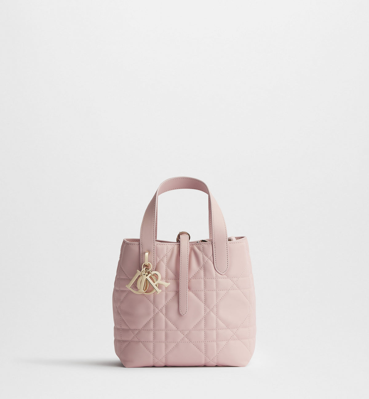 Macrocannage Calfskin Small Toujours Vertical Tote Bag