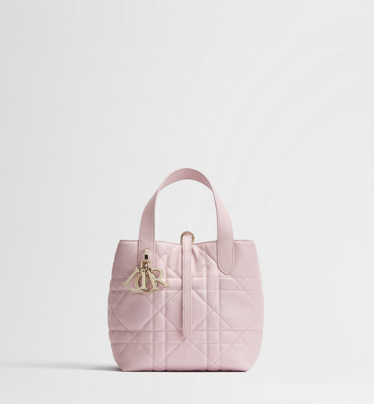 Macrocannage Calfskin Small Toujours Vertical Tote Bag