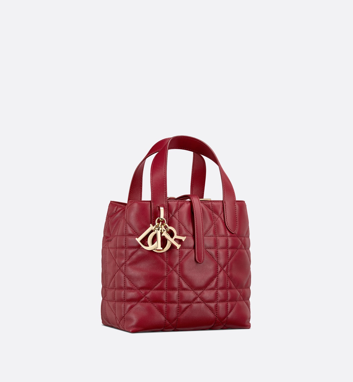 Macrocannage Calfskin Small Toujours Vertical Tote Bag