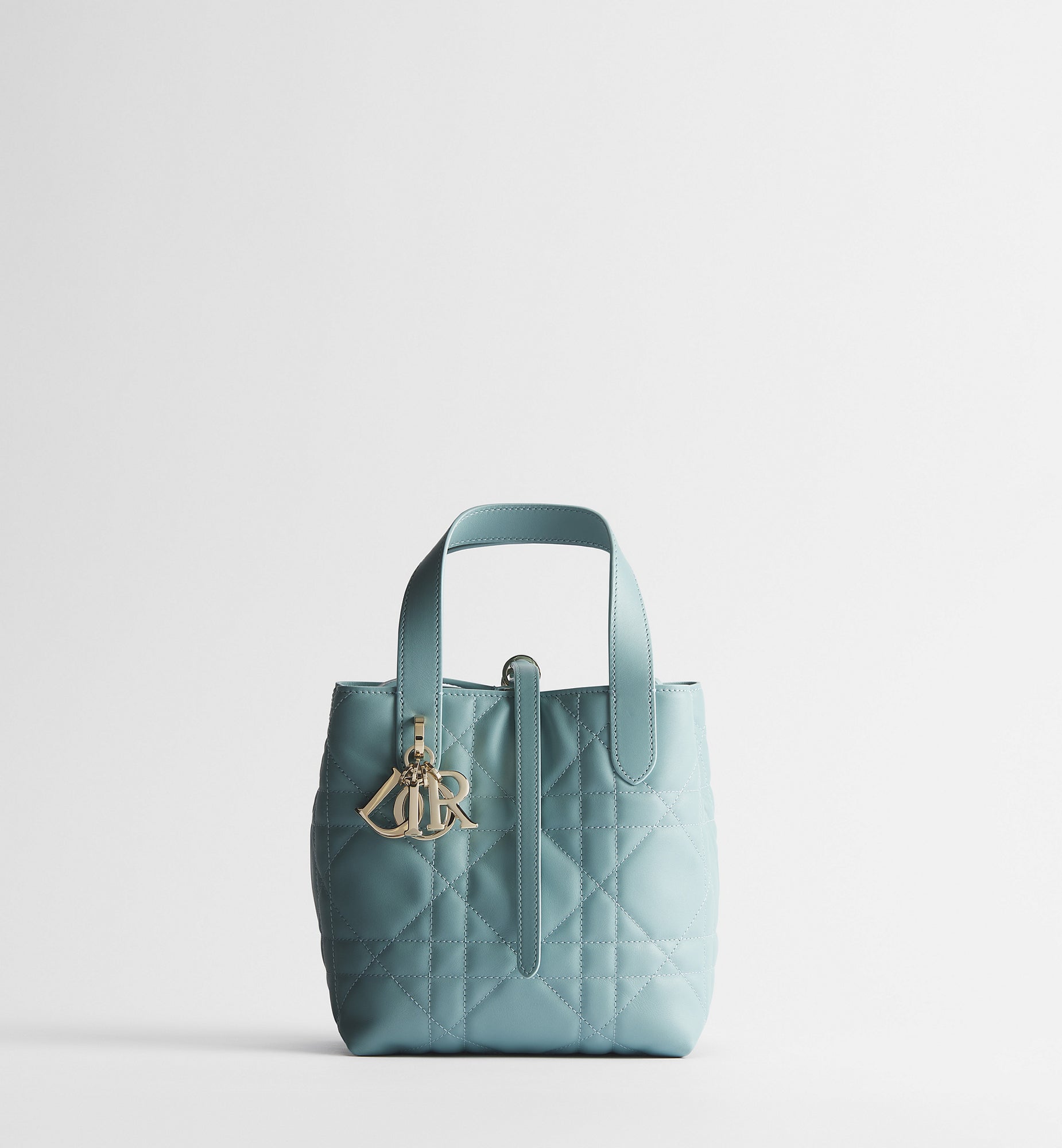 Macrocannage Calfskin Small Toujours Vertical Tote Bag
