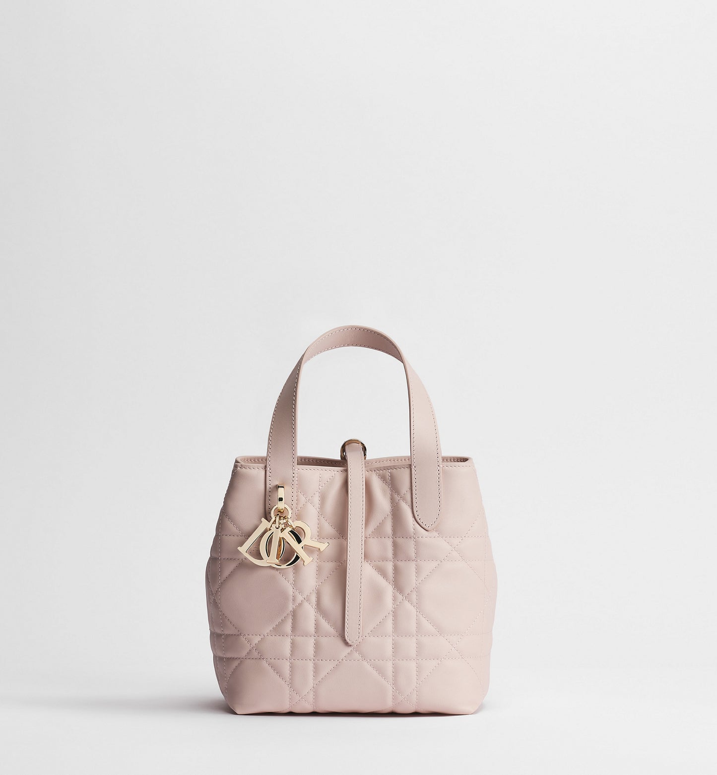 Macrocannage Calfskin Small Toujours Vertical Tote Bag