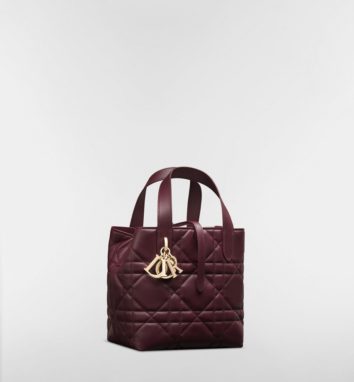 Macrocannage Calfskin Small Toujours Vertical Tote Bag
