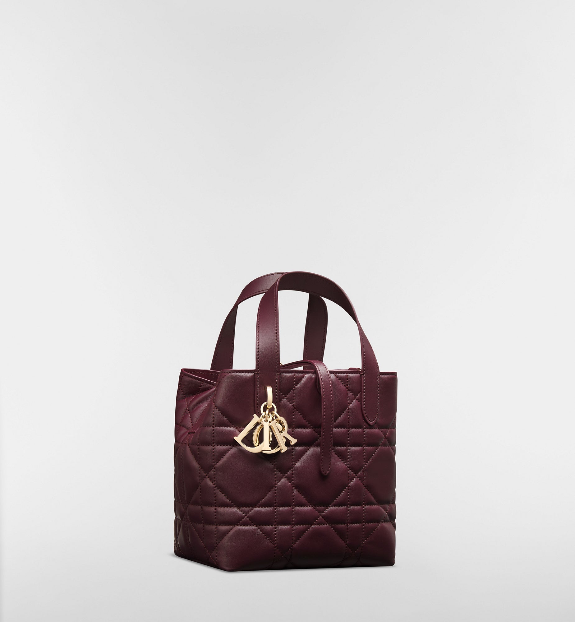 Macrocannage Calfskin Small Toujours Vertical Tote Bag