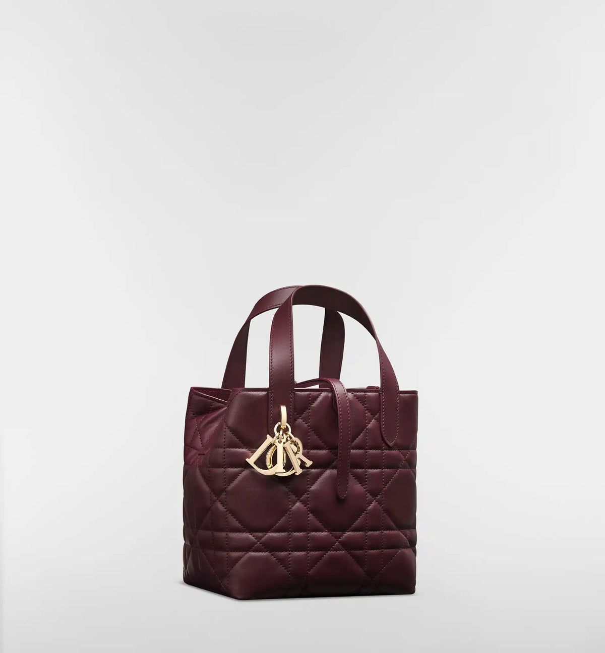 Macrocannage Calfskin Small Toujours Vertical Tote Bag