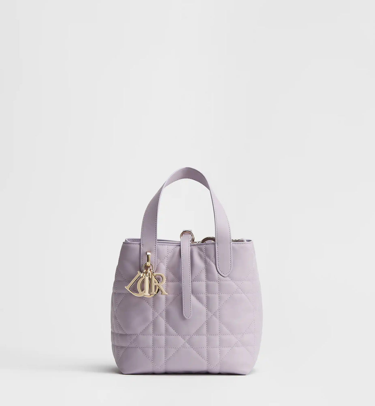 Macrocannage Calfskin Small Toujours Vertical Tote Bag