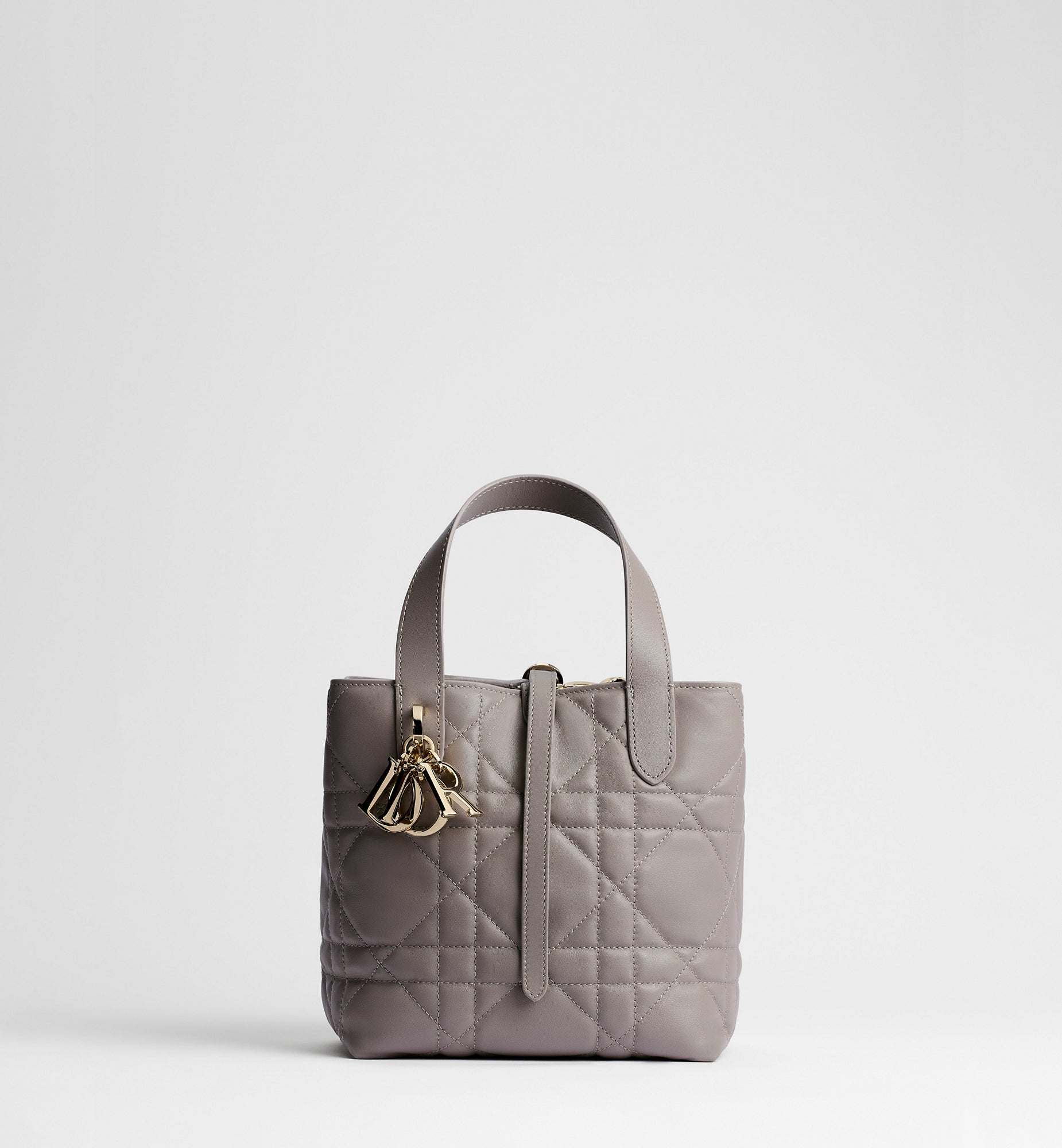 Macrocannage Calfskin Small Toujours Vertical Tote Bag