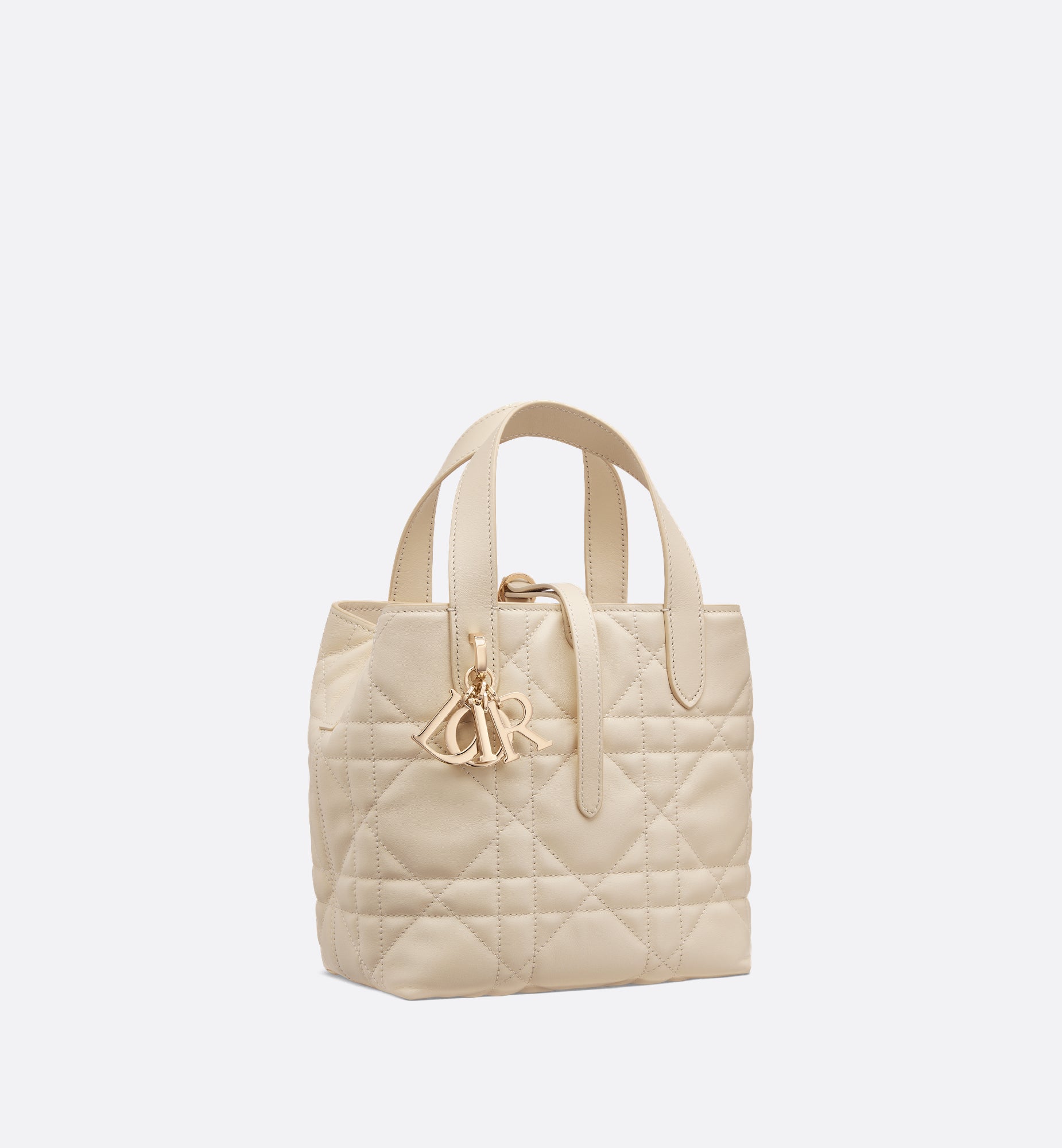 Macrocannage Calfskin Small Toujours Vertical Tote Bag