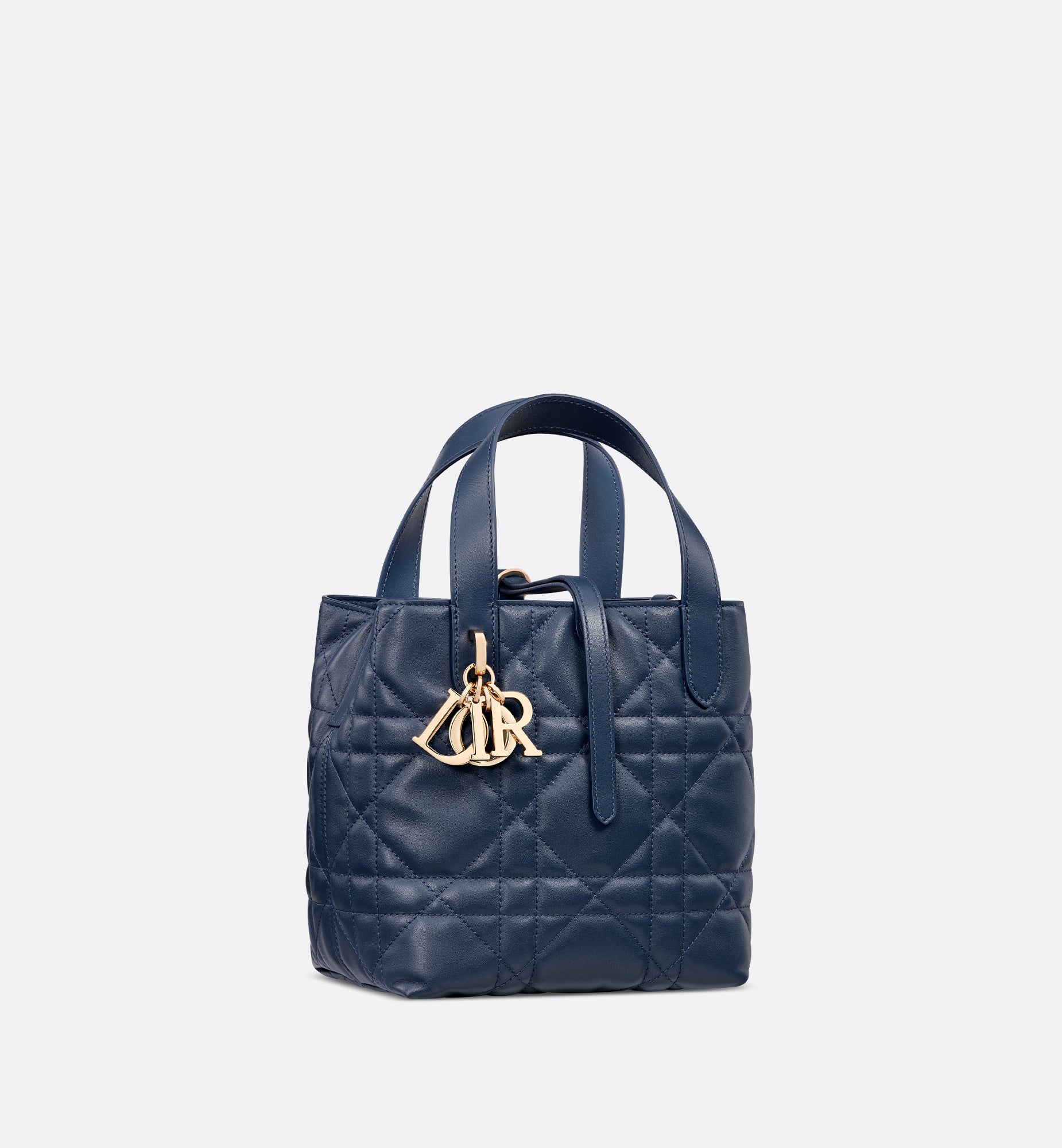 Macrocannage Calfskin Small Toujours Vertical Tote Bag