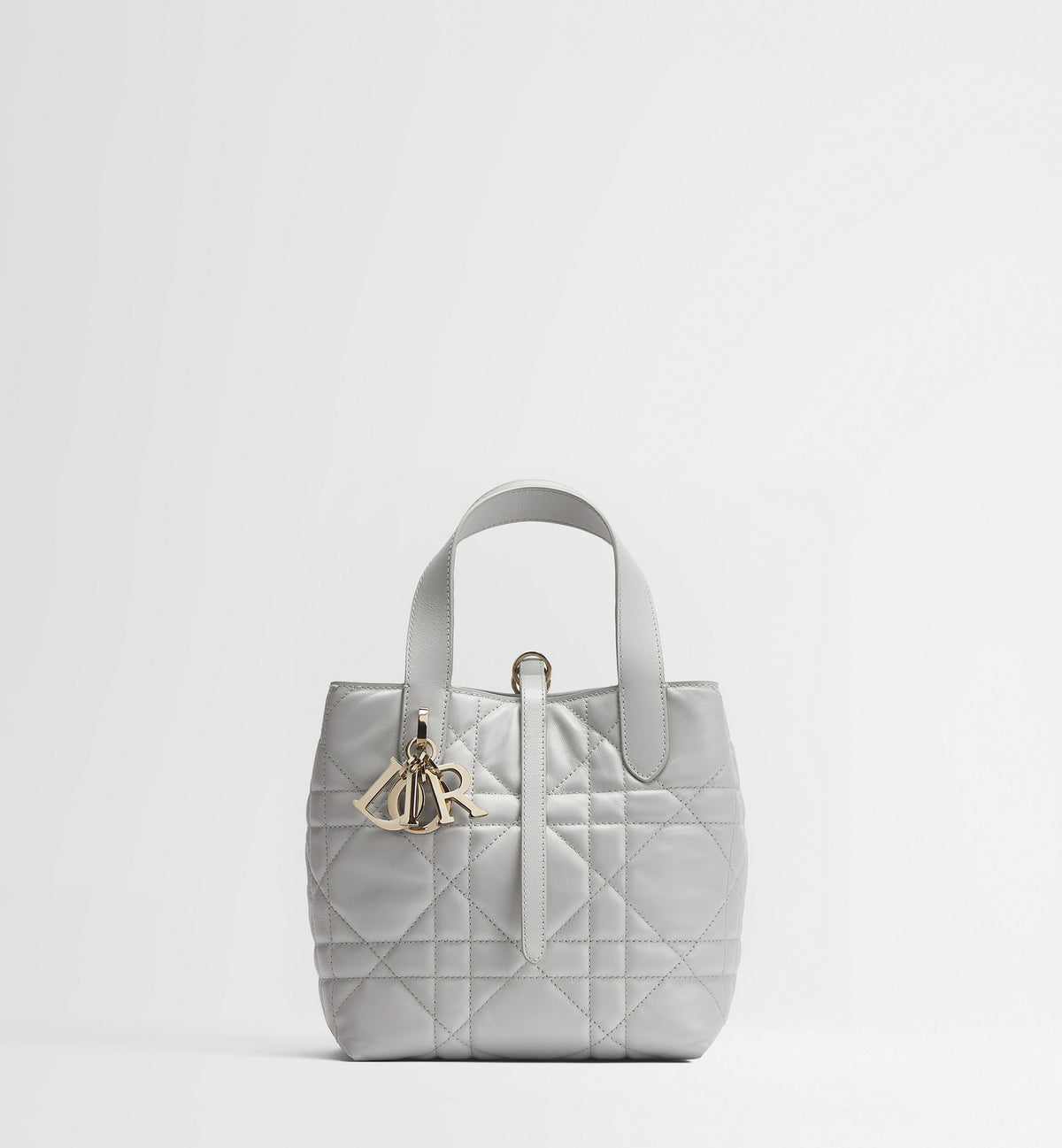 Macrocannage Calfskin Small Toujours Vertical Tote Bag