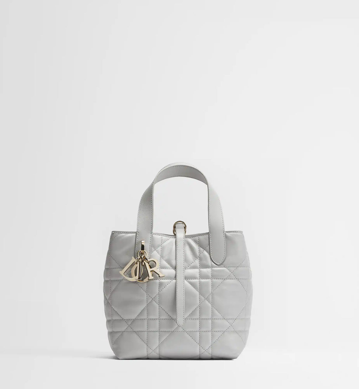 Macrocannage Calfskin Small Toujours Vertical Tote Bag