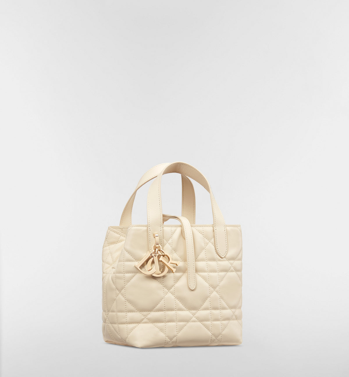 Macrocannage Calfskin Small Toujours Vertical Tote Bag