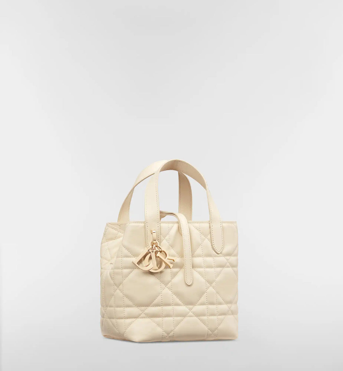 Macrocannage Calfskin Small Toujours Vertical Tote Bag
